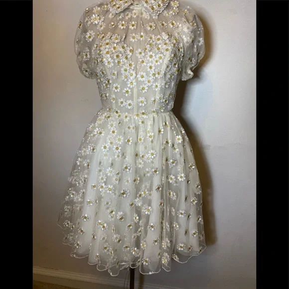 Teuta Matoshi Cream Daisy Dress - Picture 9 of 16